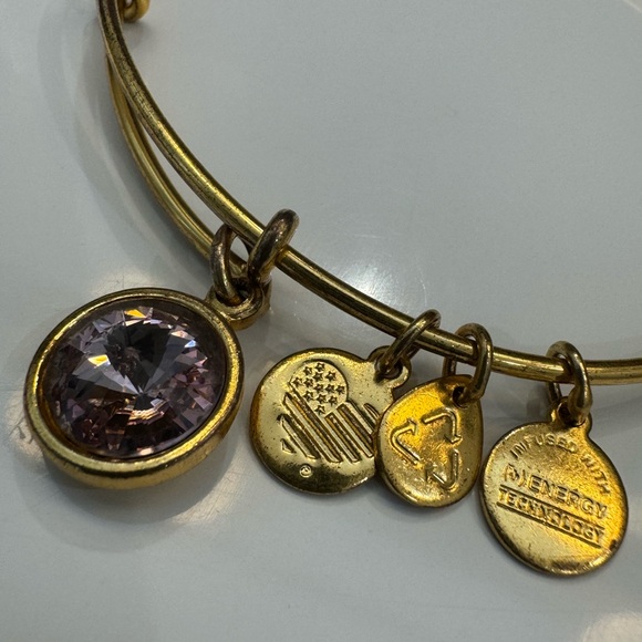 🆕 Alex and Ani June Light Amethyst Birthstone Charm Bangle Bracelet - Picture 4 of 5